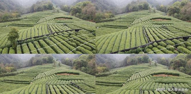 美食之都 探寻浙江最多美食的城市浩瀚体育app下载(图9)