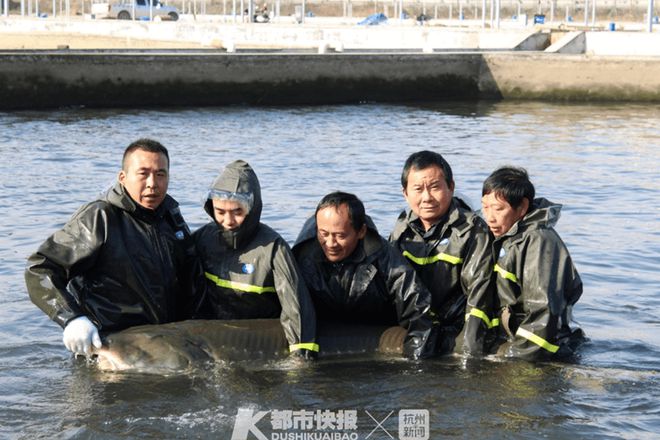 浩瀚体育平台“美食荒漠”杭州竟隐藏着一种风靡全球的顶级美食(图13)