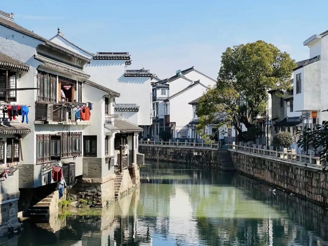 浩瀚体育平台宝山罗店鱼圆：非遗美食的“团圆”年味(图1)