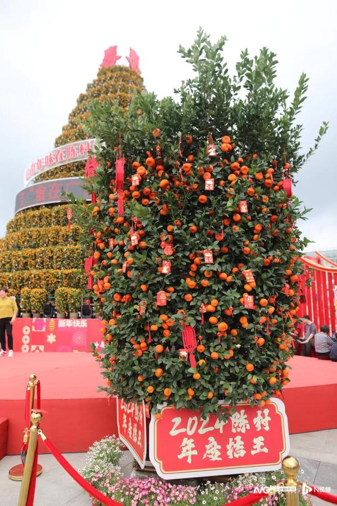 美食+花市+年货+烟花！岭南年味美食嘉年华暨陈村花市开幕浩瀚体育平台(图7)