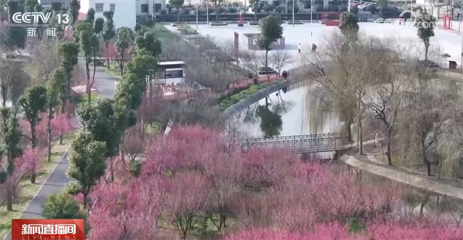 美食、美景、“人间烟火” 春暖花开万物复苏 踏青赏景正当时浩瀚体育app下载(图2)