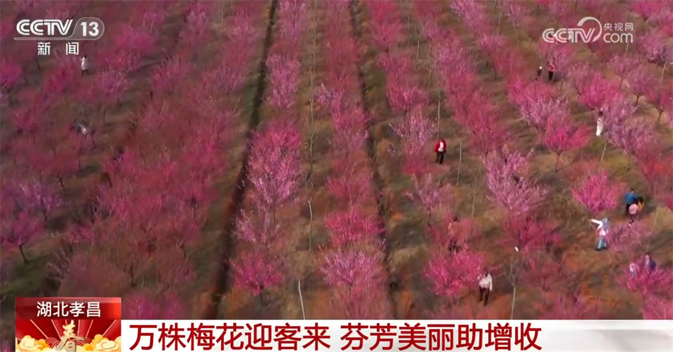 美食、美景、“人间烟火” 春暖花开万物复苏 踏青赏景正当时浩瀚体育app下载(图3)