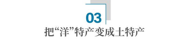 法国国粹怎么就成了安徽县城土特产？浩瀚体育平台(图9)